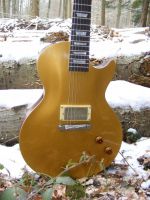 Goldtop  dark back&nbsp;&copy;&nbsp;2026&nbsp;42nd Street Guitars