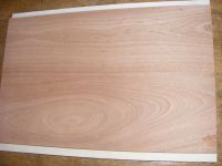 Flame maple top The sinner custom build&nbsp;&copy;&nbsp;2026&nbsp;42nd Street Guitars